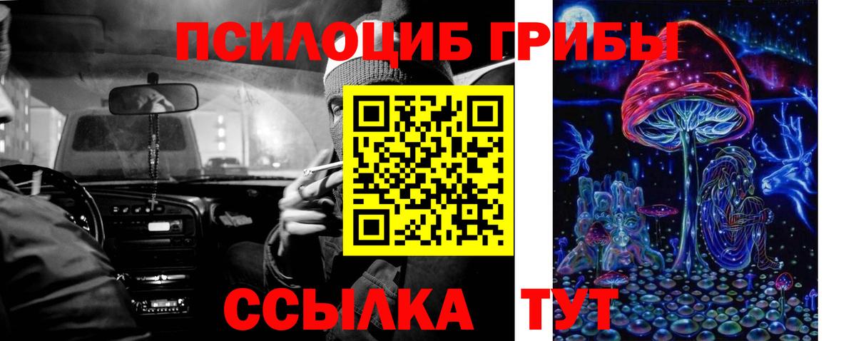 Михайловск  как найти закладки  Галлюциногенные грибы Cubensis  Вход с VPN  Псилоцибиновые грибы MAGIC MUSHROOMS 